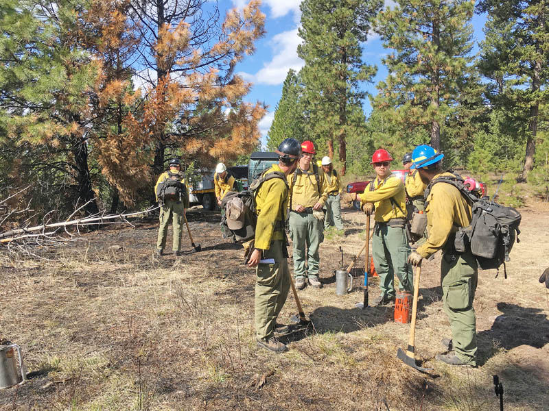 Tackling the risk of wildland fire - Seeley Swan Pathfinder