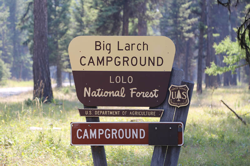 What is Going on in Big Larch Campground? - Seeley Swan Pathfinder